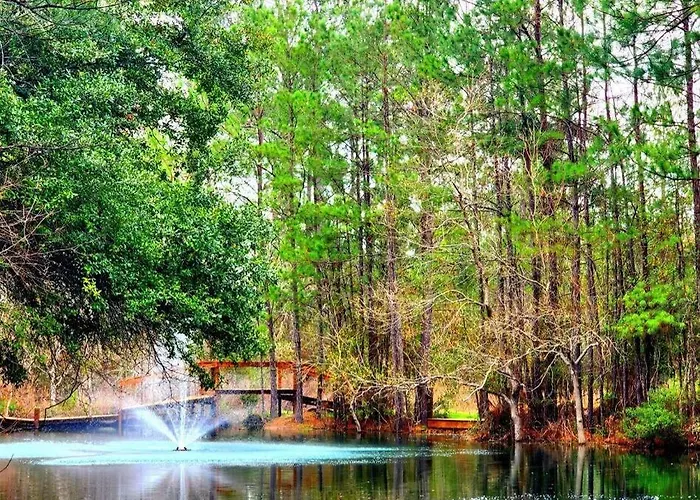 Waterfront Houston Hide Out In A Magical Forest