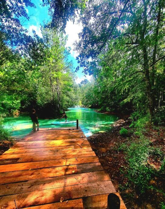 Waterfront Houston Hide Out In A Magical Forest * Waller