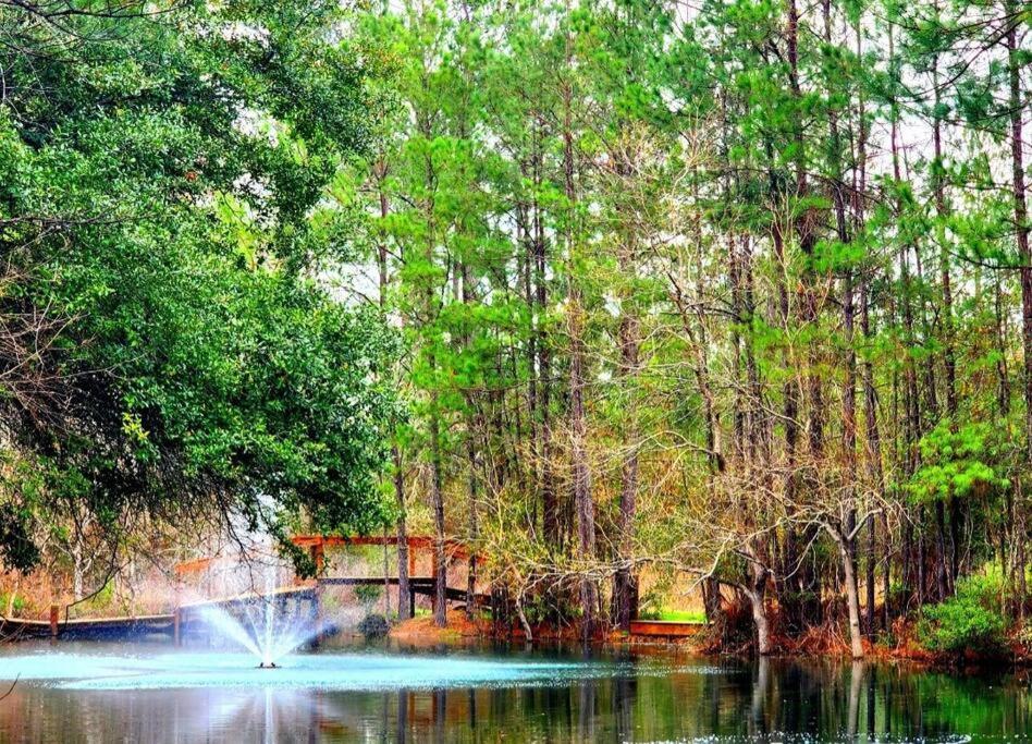 Holiday home Waterfront Houston Hide Out In A Magical Forest Waller